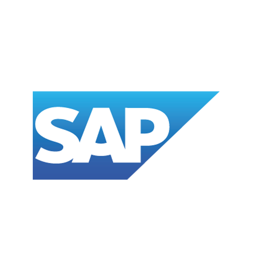 SAP ERP image